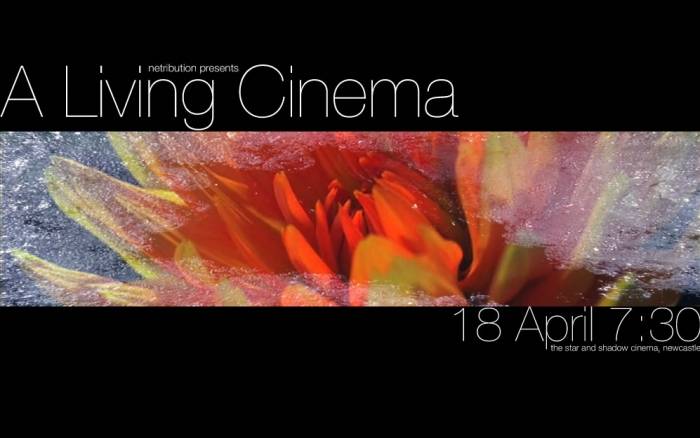 living_cinema_3