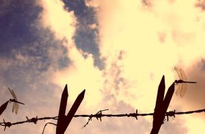 barbed_wire_clouds_tanakawho2.jpg